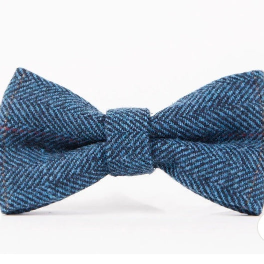 Marc Darcy Dion Blue Bow Tie